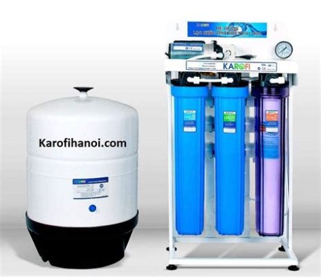  Akuta! Con Hàu Có Thể Lọc Sạch 50 Gallon Nước Biển Mỗi Ngày