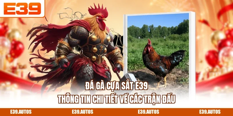 Đá Gà Cựa Sắt E39 - Thông Tin Chi Tiết Về Các Trận Đấu